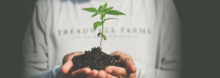 Treadwell Farms is Rooted in Tradition