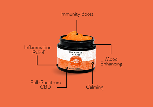 Citrus-C Gummies for a daily dose of CBD and immune supporting vitamins!