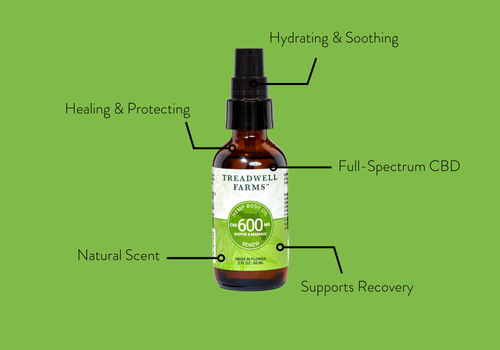 Everyday Essential CBD Body Oil for all over care - here there and everywhere!