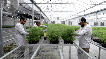 Scripps Television Networks, July 14, 2021