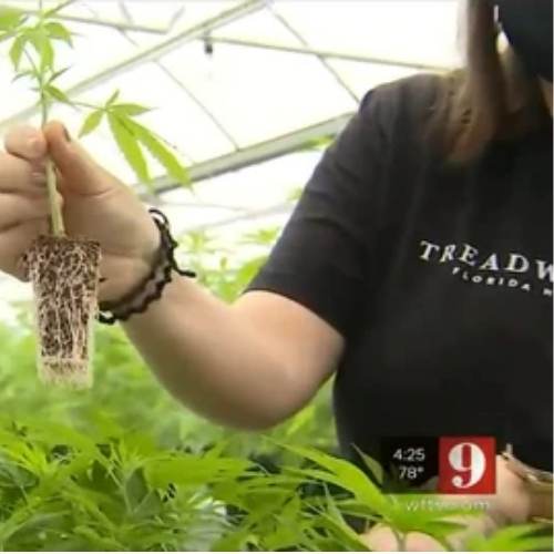 WFTV Channel 9 December 14, 2020