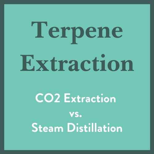 Terpene Extraction: A General Overview