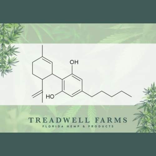 What is CBD? Breaking Down Its Healing Potential