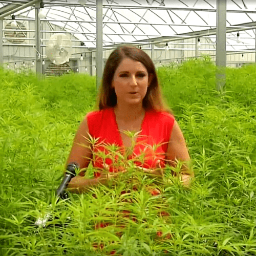 Spectrum 13 News July 30, 2020