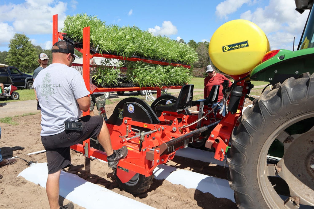 Vegetable and Specialty Crop News July 31, 2020