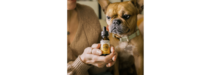 5 Reasons You Should Be Giving Your Pet CBD Every Day
