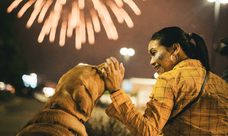 CBD for Pets: A Firework Survival Guide - Treadwell Farms