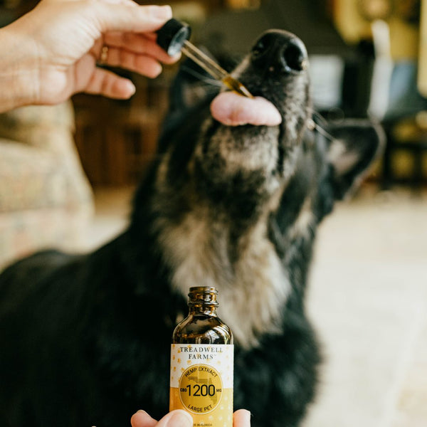 Pet CBD - Treadwell Farms