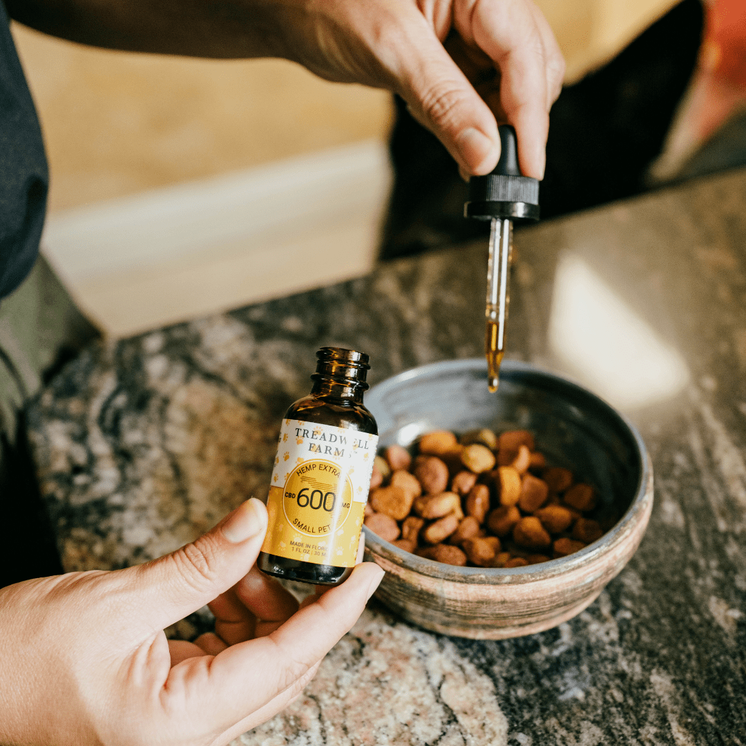 Pet CBD for Dogs and Cats