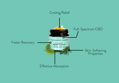 Cooling Mint CBD Salve - Treadwell Farms