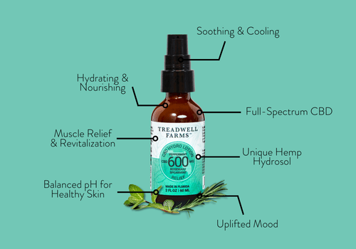 Relief CBD Hydro Lotion - Treadwell Farms