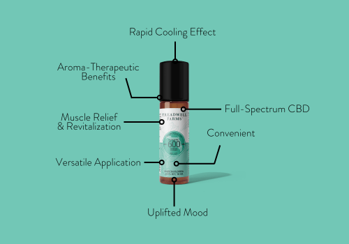 Relief CBD Body Oil Roll - On - Treadwell Farms
