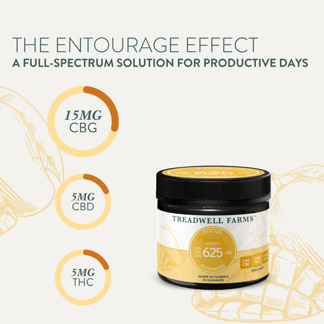 Focus CBG Gummies