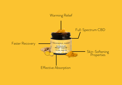 The Best CBD Salve in Your Hands