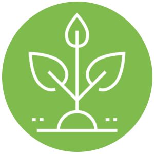 Treadwell Farms promise to Farming and Community Building