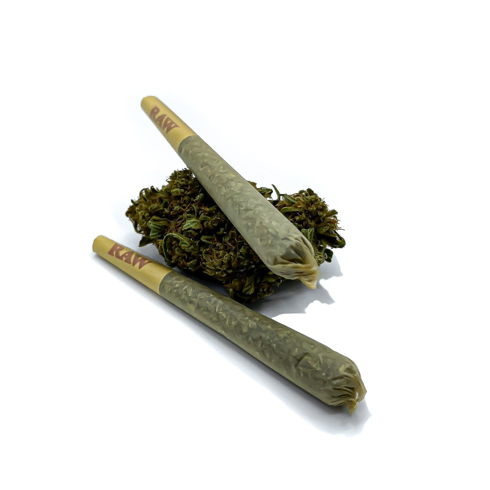 2 pre-rolls on and next to a hemp flower bud